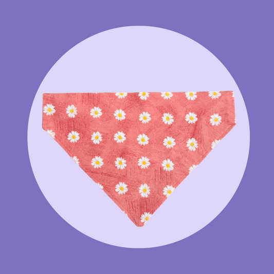 Pink Daisy Bandana